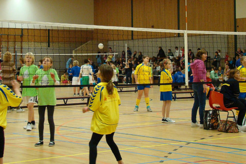 Foto bij Schoolvolleybal 2024