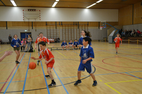 Foto bij Basketbal 2025