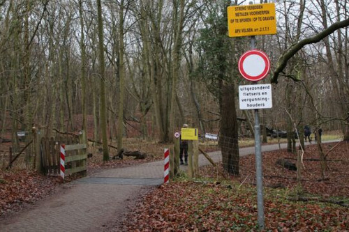 Foto bij HAIKU Wandelen/Joggen
