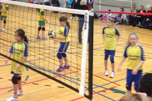 Volleybal